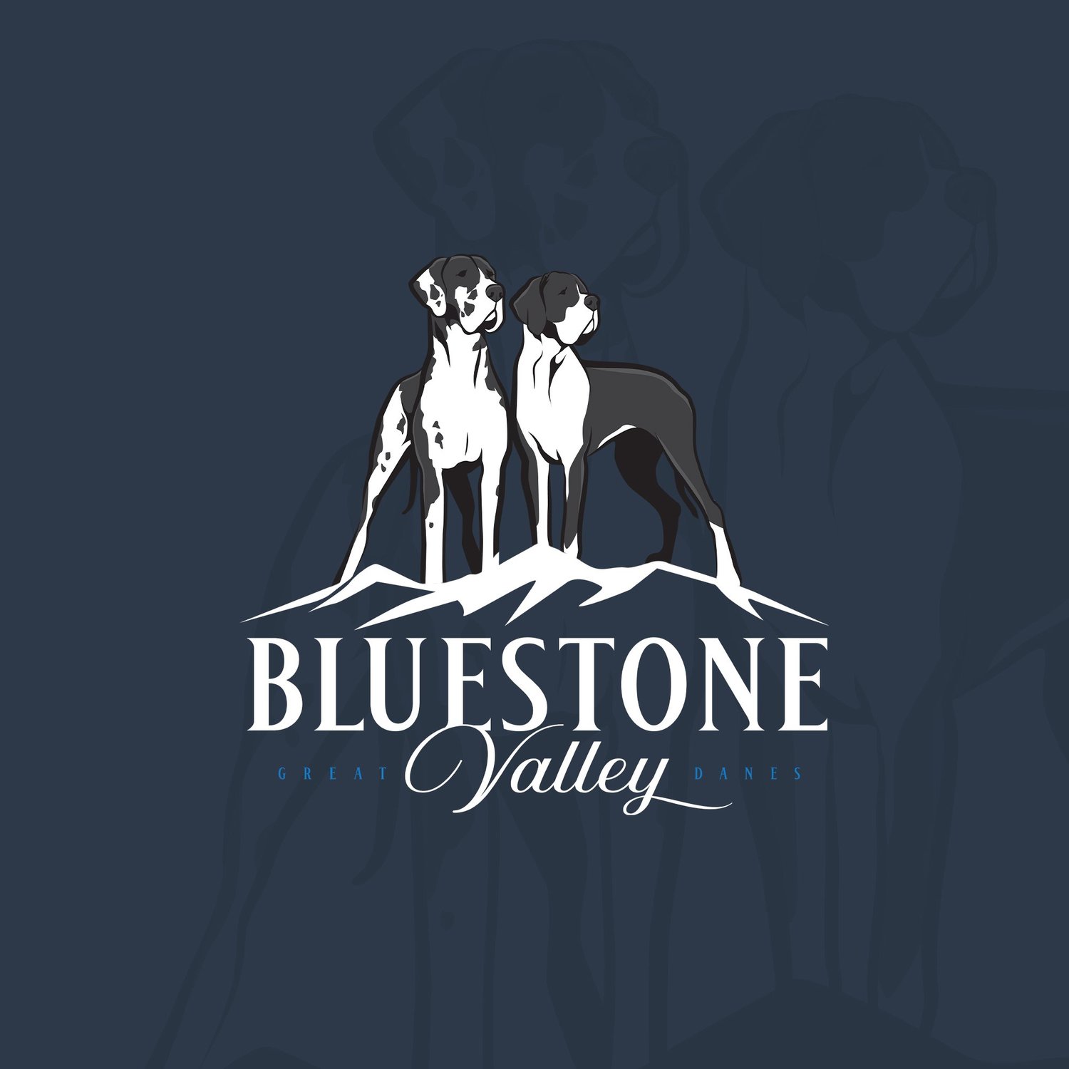 Bluestone Valley Great Danes