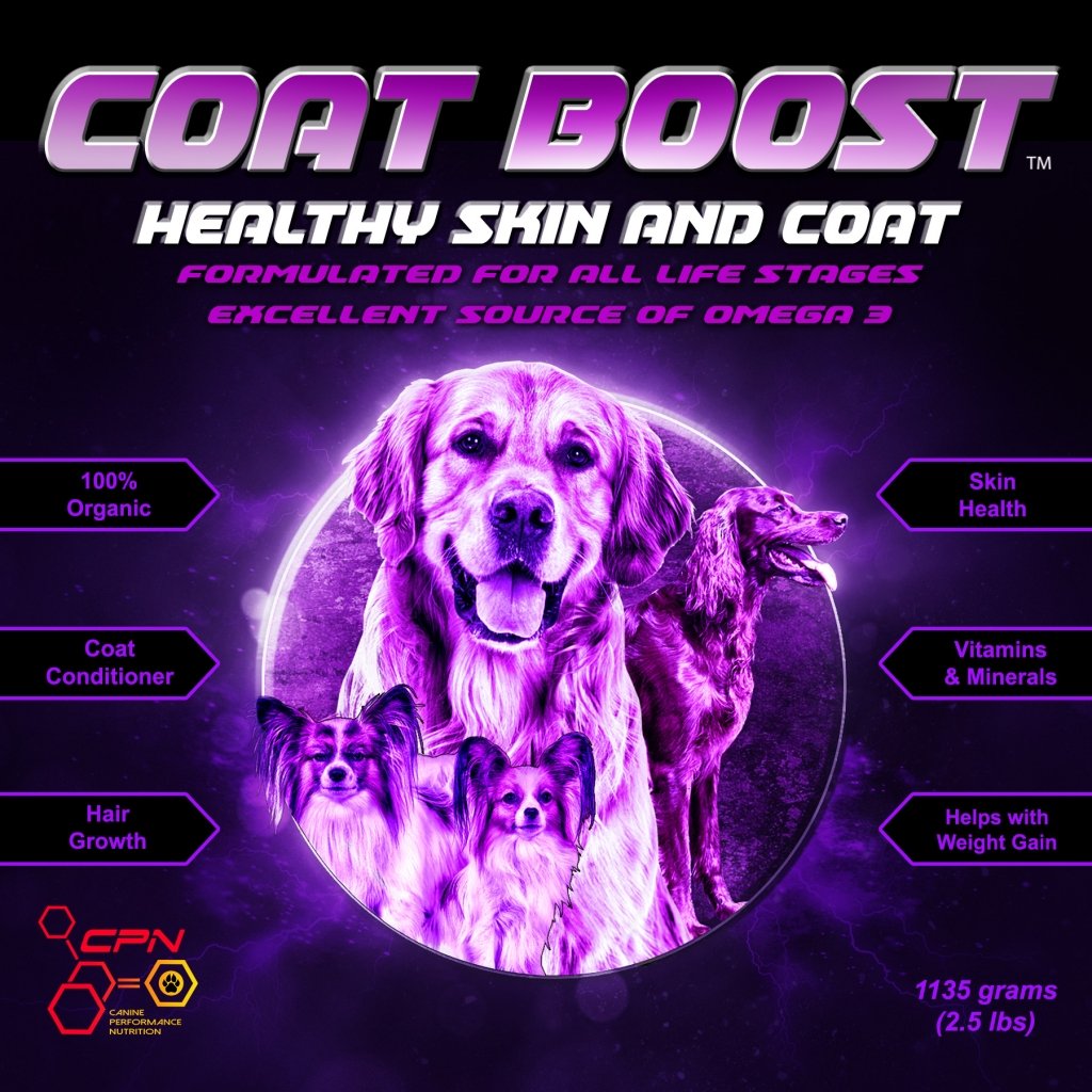 Promotional image for 'Coat Boost,' a dog supplement highlighting benefits for healthy skin and coat, made with Omega 3. Features dogs and benefits like 100% organic, coat conditioner, and hair growth.